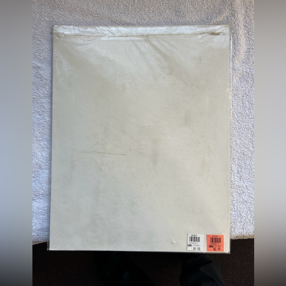 Henri Matisse Print Interior With A Violin Case 1996 MoMa 14” T X 11” W Orig pac - Picture 6 of 6